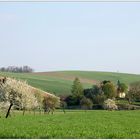 Nursch im Frühling