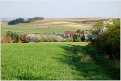 Nursch im Frühling **4