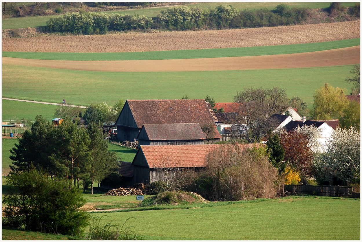 Nursch im Frühling **5