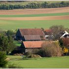 Nursch im Frühling **5