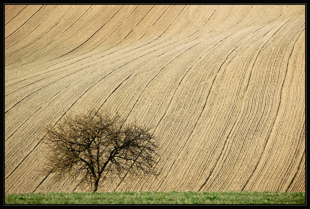 Nursch - März 2008 (2)