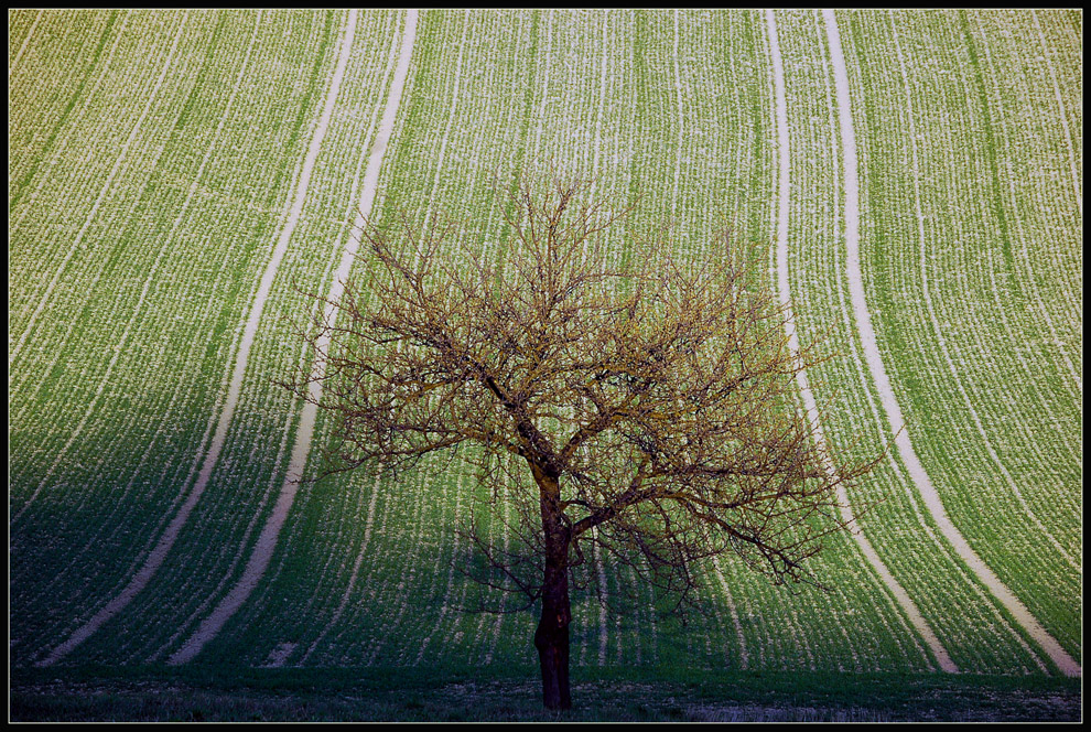 Nursch - März 2008