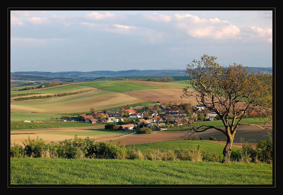 Nursch von oben