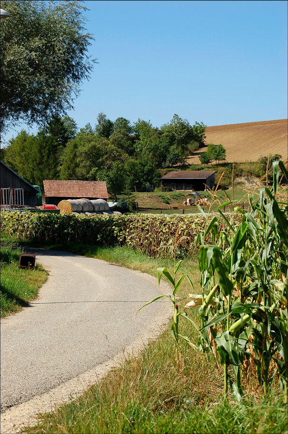 Nurscher Landleben 3