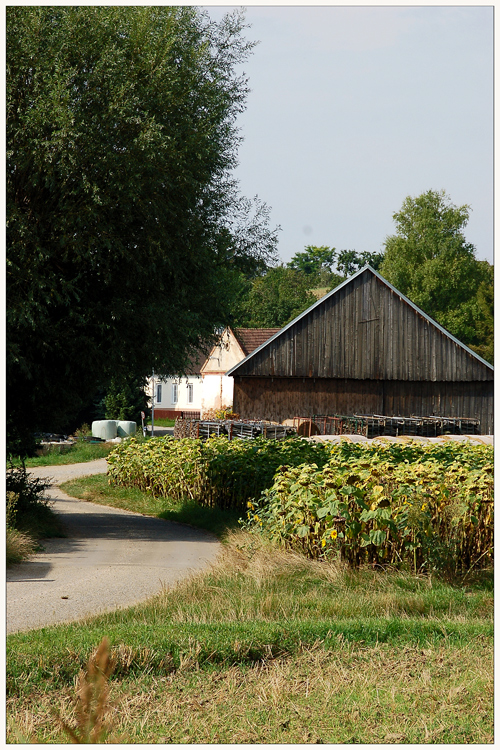 Nurscher Landleben  4