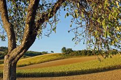 Nurscher Landschaft ... (Herbst)