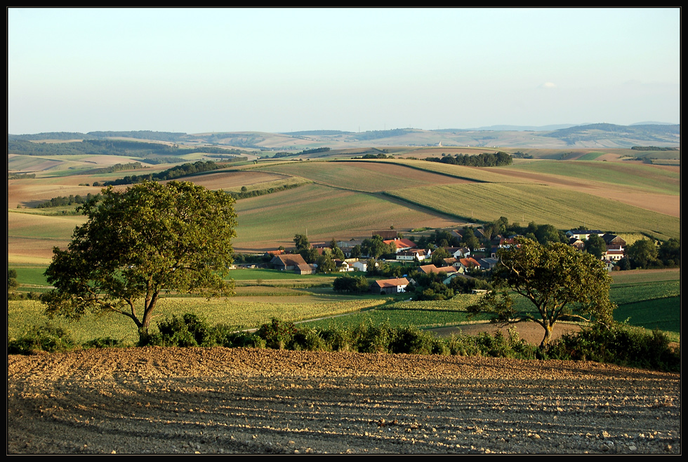 Nurscher "Overlook"