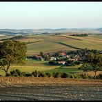 Nurscher "Overlook"