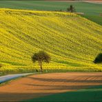 "Nurscher Tal" im April