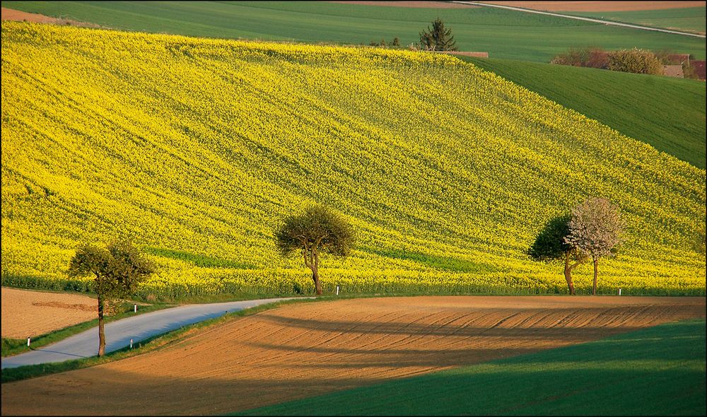 "Nurscher Tal" im April