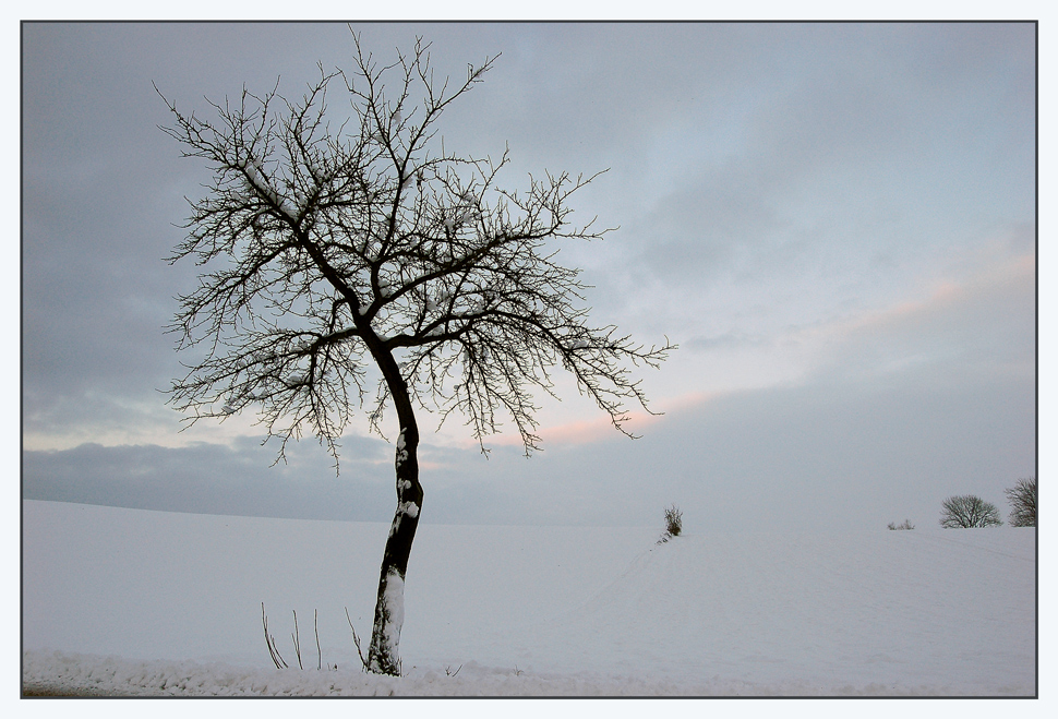 Nurscher Winter