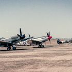 Nurse at Flightline 