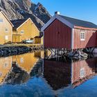 Nusfjord, Lofoten