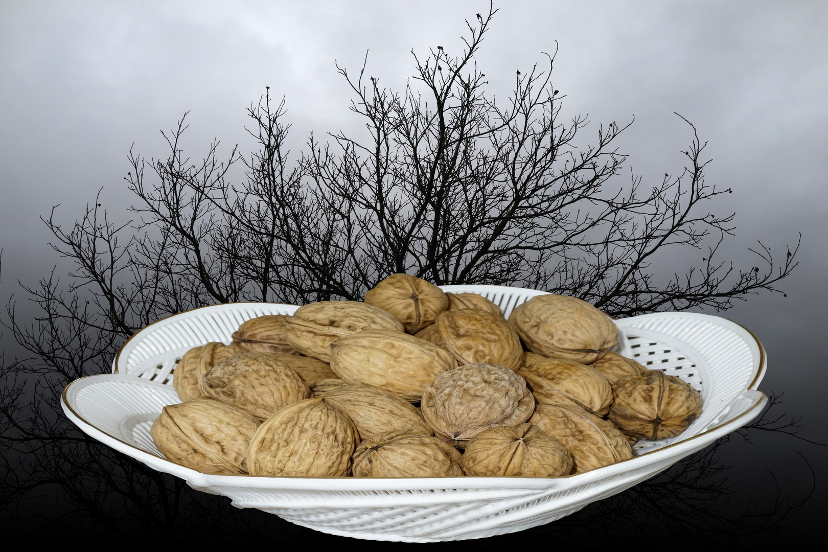 Nussbaum mit eier Schale Nüssen