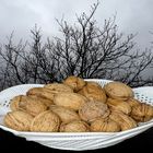 Nussbaum mit eier Schale Nüssen