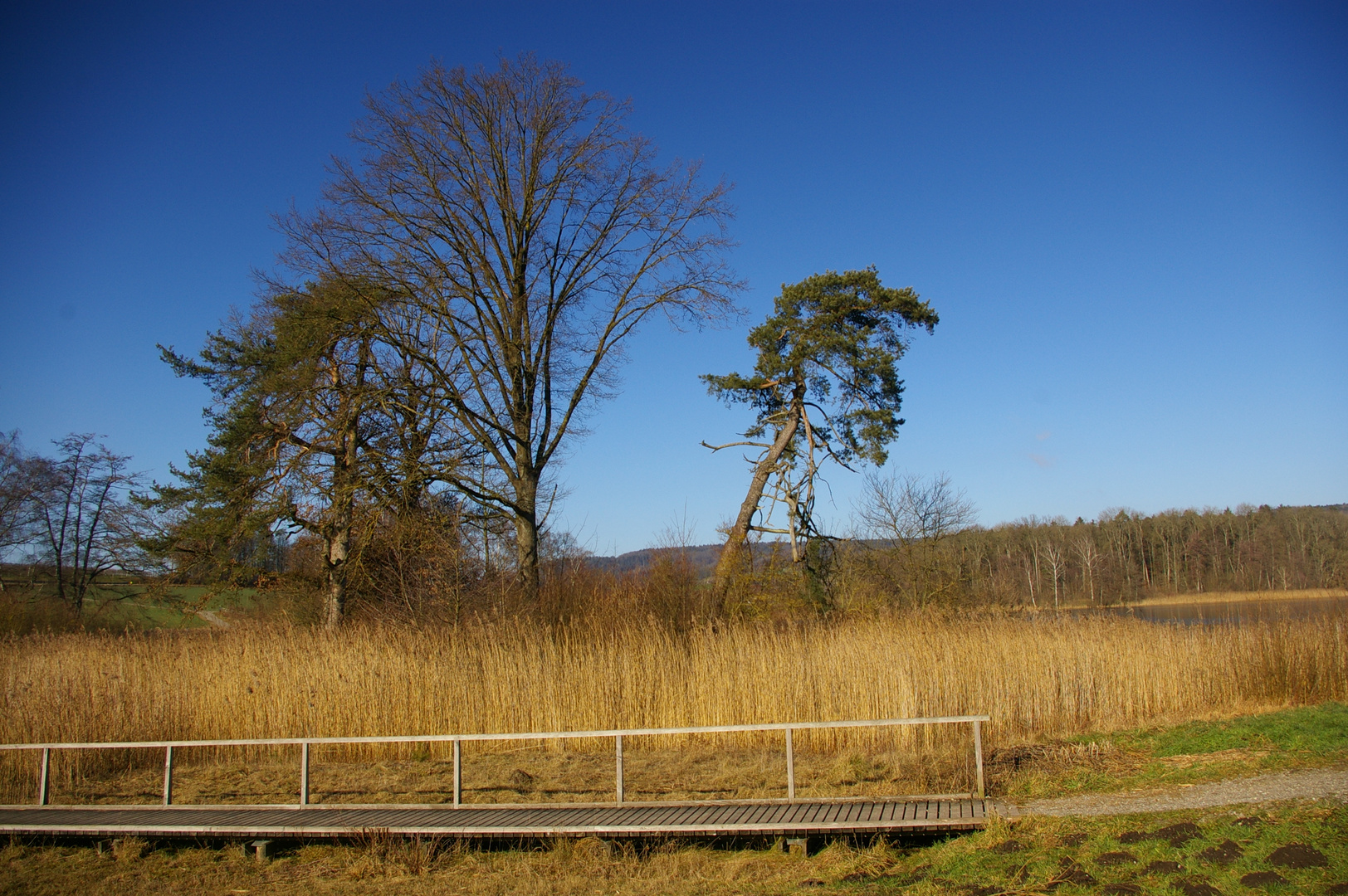 Nussbaumer See