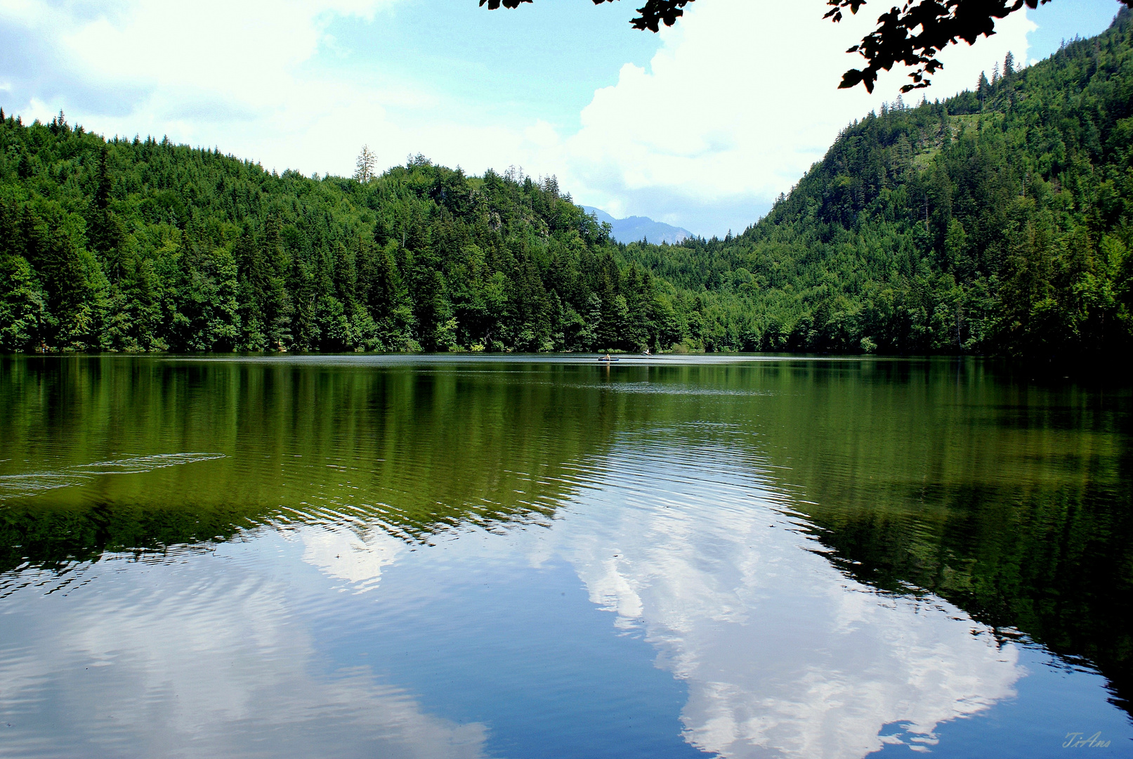 nussensee bei bad ischl