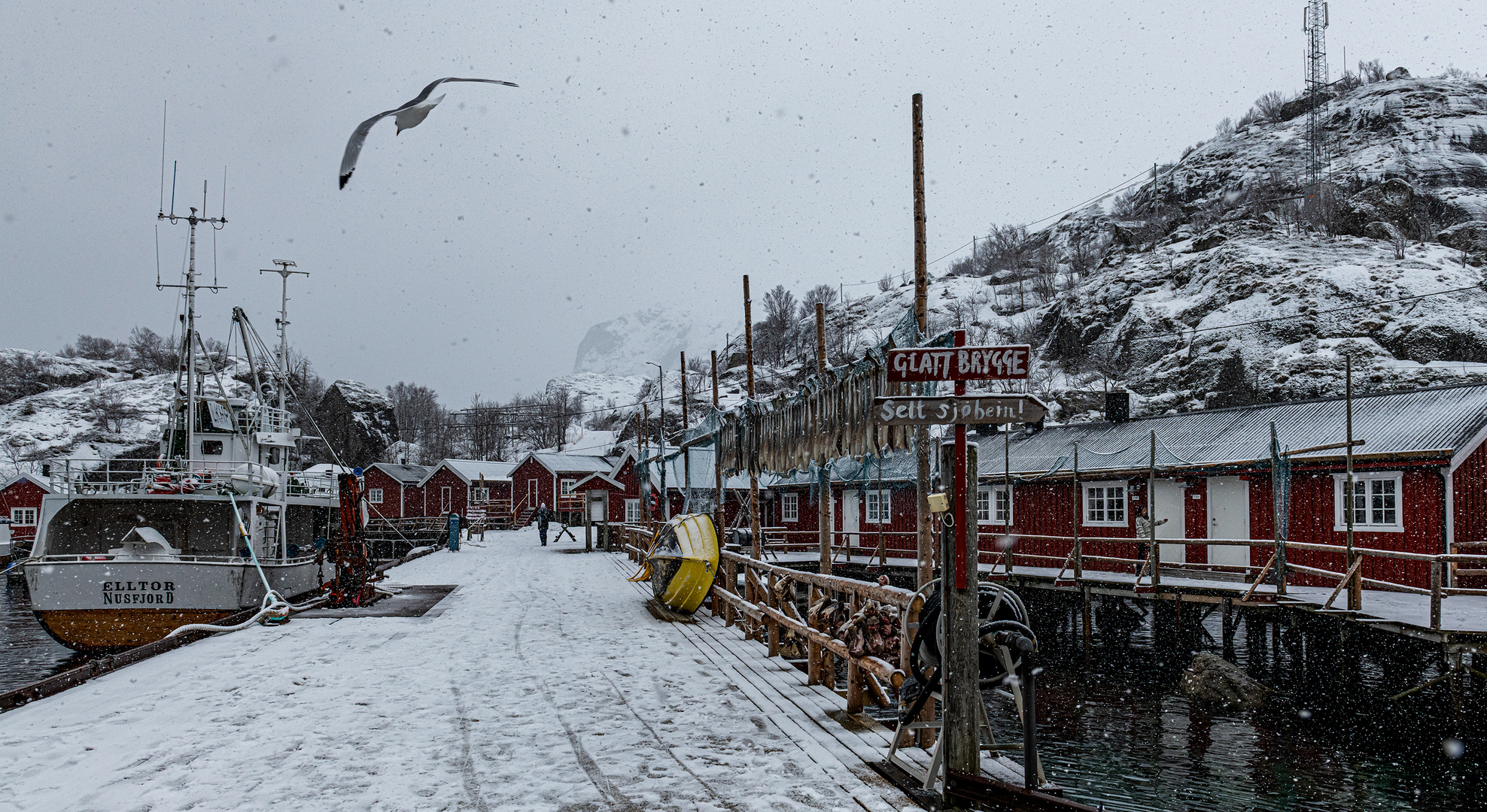 Nussfjord