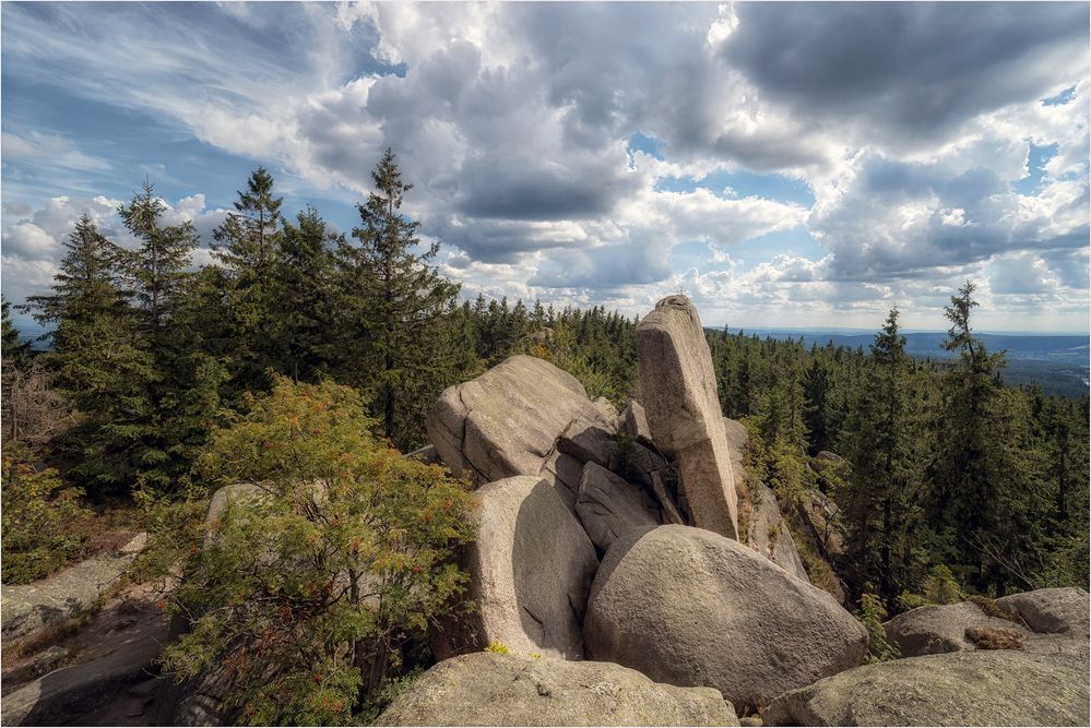 Nußhardt Foto & Bild sommer, natur, landschaft Bilder auf