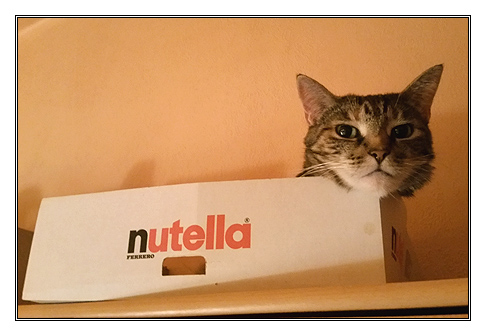 Nutella