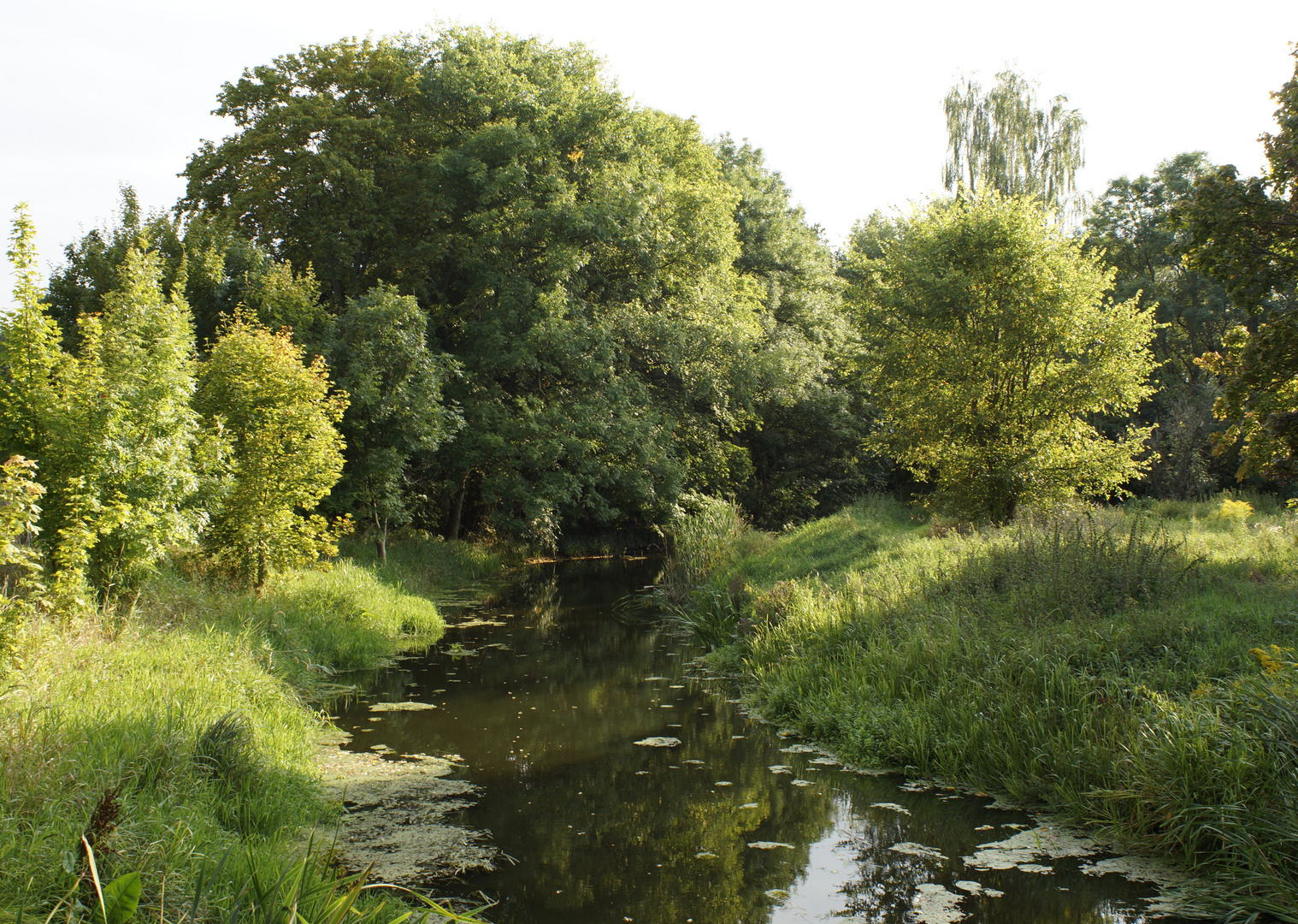 Nuthe-Nieplitz Naturschutzgebiet