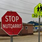 Nutqarrit !  .              .DSC_2566