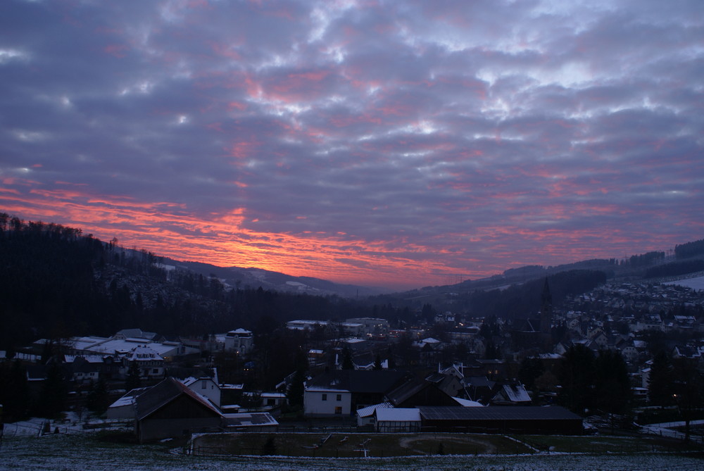 Nuttlar im Abendrot