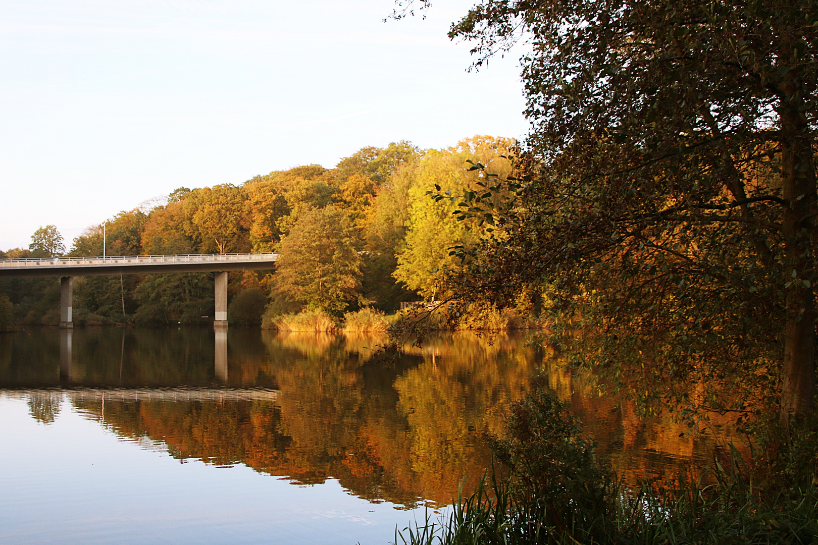 nutze den Herbst