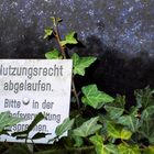 Nutzungsrecht abgelaufen