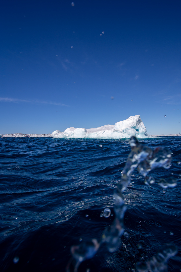 Nuuk Godthabfjord Eisberg