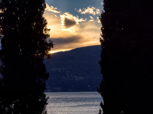 Nuvole tra gli alberi