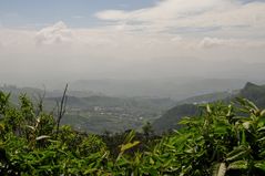 Nuwara Eliya 2