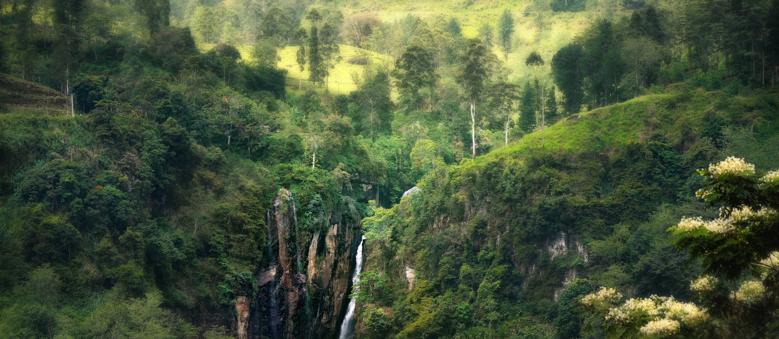  Nuwara Eliya....