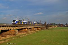 NWB - Möbse auf der Brücke