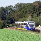 NWB VT 706 bei Osnabrück, Dütekolksiedlung