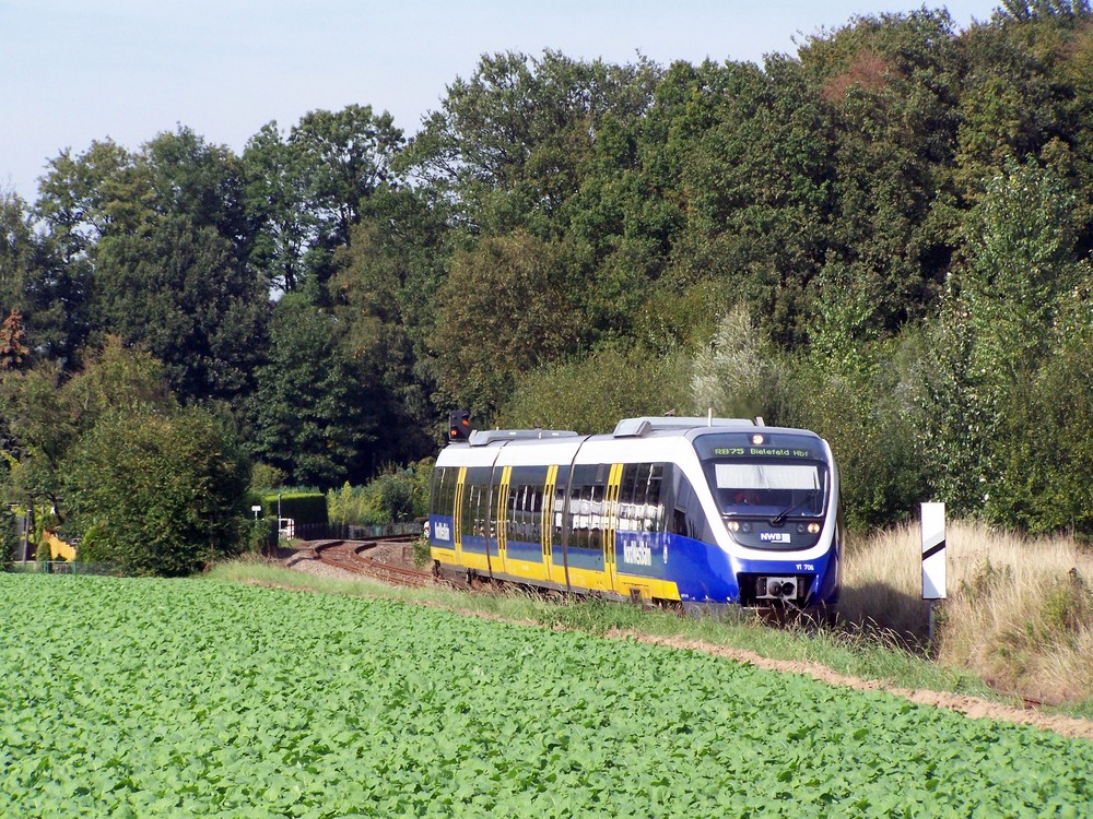 NWB VT 706 bei Osnabrück, Dütekolksiedlung