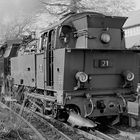 NWE Nr.21 u. BR 99 7242-3 Wernigerode 1993 April  