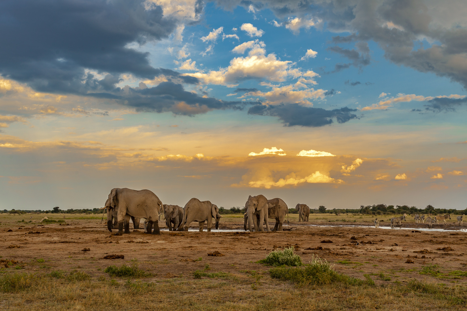 Nxai-Pan-Nationalpark