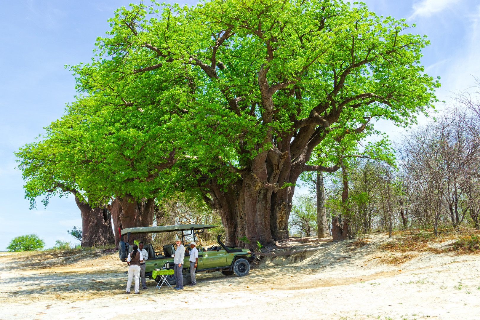 Nxai-Pan-Nationalpark