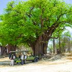 Nxai-Pan-Nationalpark