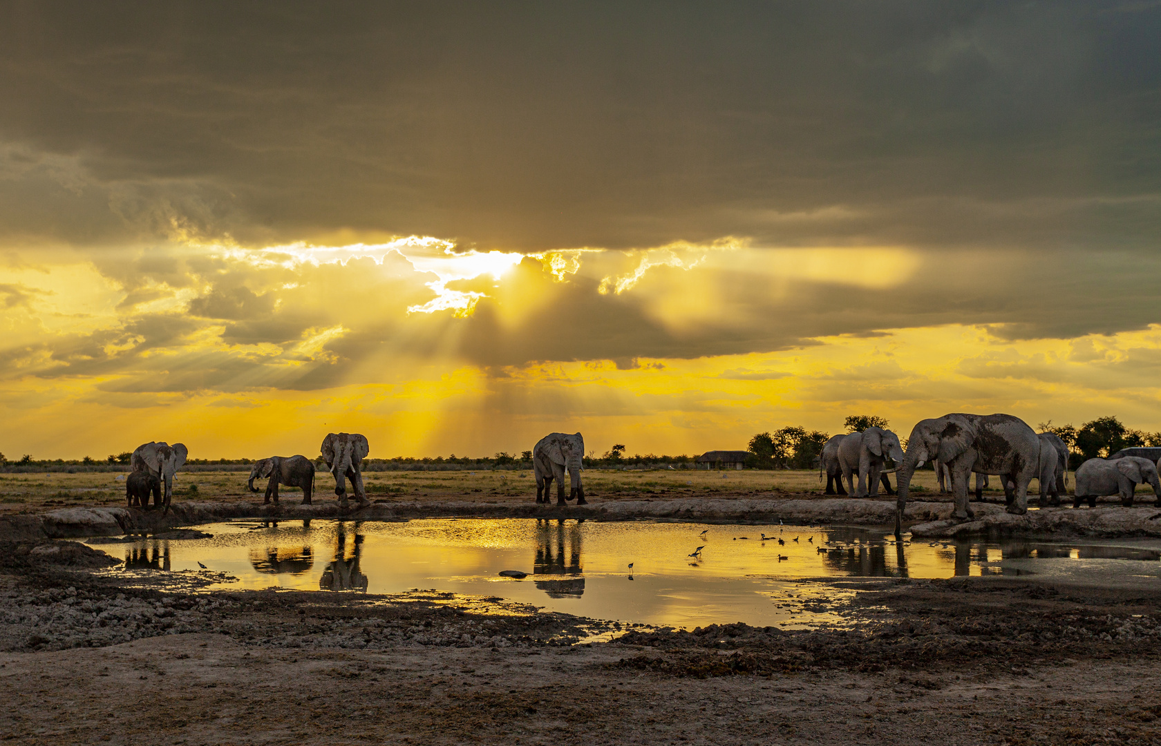 Nxai-Pan-Nationalpark