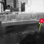 N.Y. [11] - Ground Zero Memorial