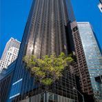 N.Y. [112] - Trump Tower