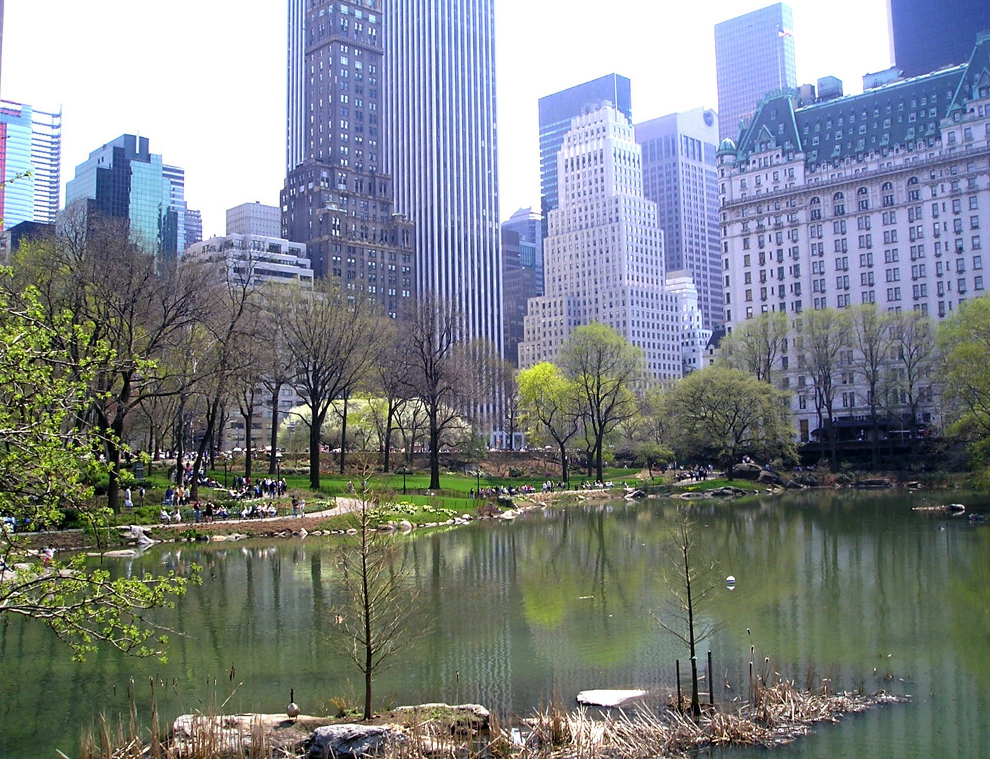 NY - Central Park