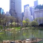 NY - Central Park