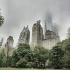 NY Central Park I