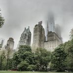 NY Central Park I