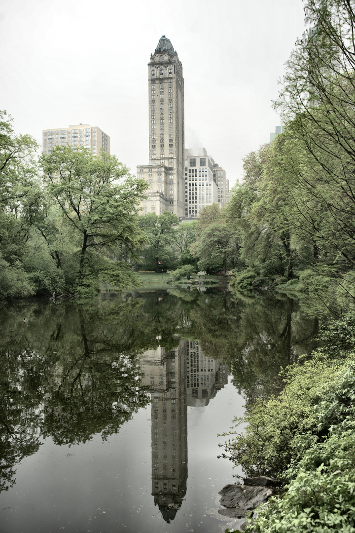 NY Central Park II