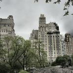 NY Central Park III