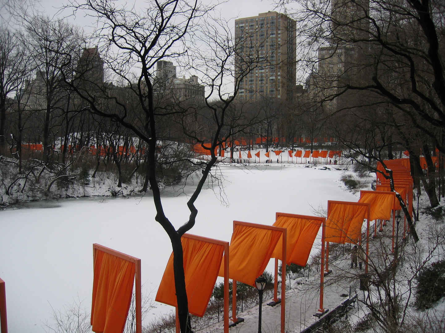 NY - Christo 1000 Gates